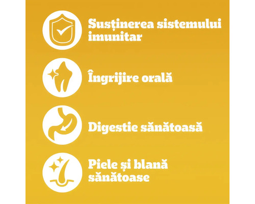 Simboluri pentru susținerea sistemului imunitar, îngrijire orală, digestie sănătoasă și piele și blană sănătoase.
