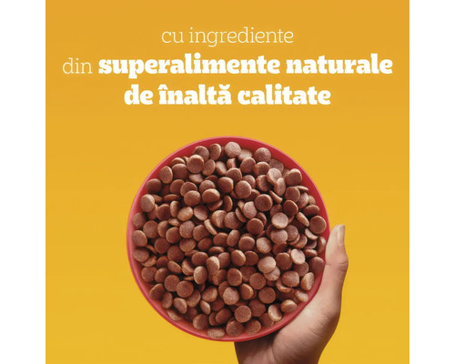 Bol cu hrană uscată pentru animale de companie din ingrediente naturale de înaltă calitate de tip superalimente.