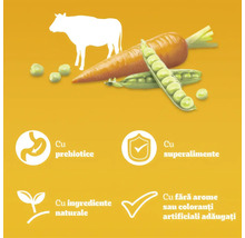 Ilustrații cu vită, morcov și mazăre. Simboluri pentru prebiotice, superalimente, ingrediente naturale și fără arome sau coloranți artificiali adăugați.