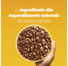 Mână care ține un bol cu hrană pentru animale de companie, cu text despre ingrediente din superalimente naturale de înaltă calitate.