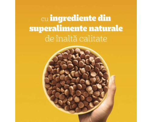 Mână care ține un bol cu hrană pentru animale de companie, cu text despre ingrediente din superalimente naturale de înaltă calitate.