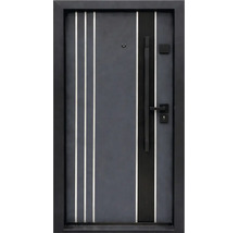 Ușă de intrare modernă în culoarea antracit cu benzi verticale, mâner lung, clanță și vizor.
