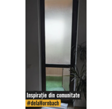 Ușă de balcon cu geam mat în partea de sus și geam clar în partea de jos, vedere spre un balcon cu gazon artificial și o plantă de interior.