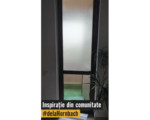 Ușă de balcon cu geam mat în partea de sus și geam clar în partea de jos, vedere spre un balcon cu gazon artificial și o plantă de interior.