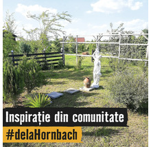 Grădină luminoasă cu o statuie albă, dale de piatră, plante decorative și un gard din lemn.