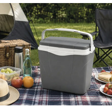 Ladă frigorifică gri cu mâner alb pe o pătură de picnic în aer liber lângă un cort și alimente.