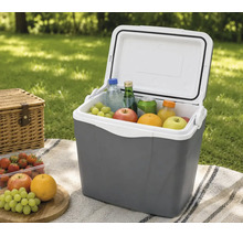 Ladă frigorifică gri deschisă cu băuturi și fructe pe o pătură de picnic în aer liber lângă un coș de răchită.