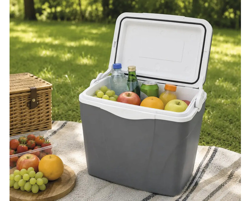 Ladă frigorifică gri deschisă cu băuturi și fructe pe o pătură de picnic în aer liber lângă un coș de răchită.