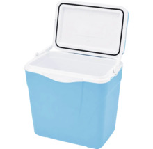 Ladă frigorifică deschisă din plastic cu mâner de transport și inel de etanșare în capac.