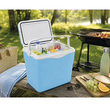 Ladă frigorifică din plastic albastru deschis și alb, cu capacul deschis, umplută cu gheață, băuturi la sticlă și fructe, pe o masă de picnic.