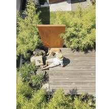 Panou grădină Palatino Space Vapor oțel corten 99x180 cm
