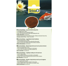 Bloc de hrană pe termen lung Tetra Pond Holiday pentru toți peștii de iaz asigurând hrănirea până la 14 zile în absență cu logo Tetra Pond