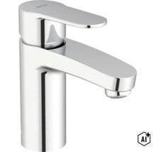 Baterie monocomandă pentru lavoar Avital din metal cu levier pentru utilizare ușoară în baie. (Image AI modified or generated)