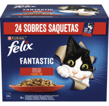 Hrana umeda pentru pisici Felix Fantastic pachet mixt cu 24 de plicuri