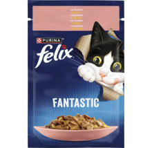 Hrana pentru pisici Purina Felix Fantastic cu somon in aspic plic
