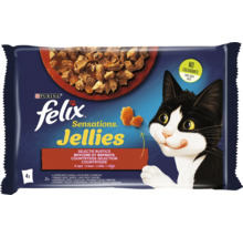 Hrană pentru pisici Felix Sensations Jellies multipack 4 x 85 grame cu bucăți de carne în aspic pentru o nutriție echilibrată