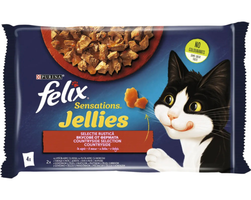 Hrană pentru pisici Felix Sensations Jellies multipack 4 x 85 grame cu bucăți de carne în aspic pentru o nutriție echilibrată