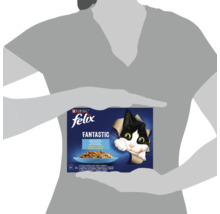 O persoană ține un pachet de hrană pentru pisici Felix Fantastic cu doisprezece pliculețe în aspic.