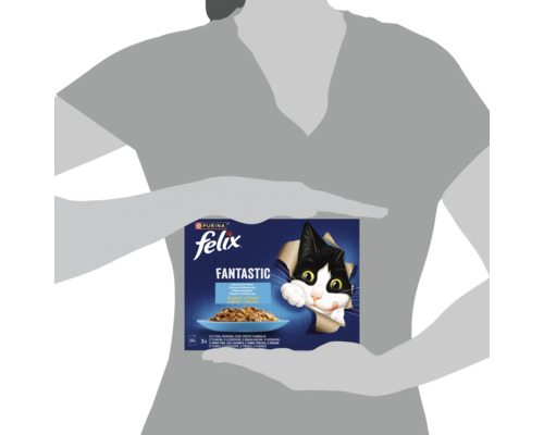 O persoană ține un pachet de hrană pentru pisici Felix Fantastic cu doisprezece pliculețe în aspic.