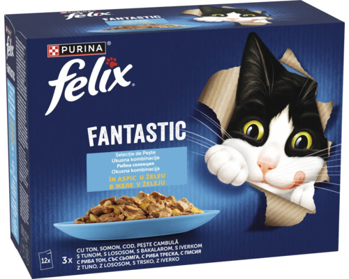Hrană pentru pisici Felix Fantastic selecție de pește în aspic multipack doisprezece plicuri