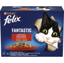Hrana pentru pisici Purina Felix Fantastic pachet de doisprezece pliculete carne in aspic sortimente variate