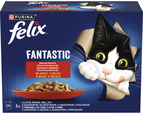 Hrana pentru pisici Purina Felix Fantastic pachet de doisprezece pliculete carne in aspic sortimente variate