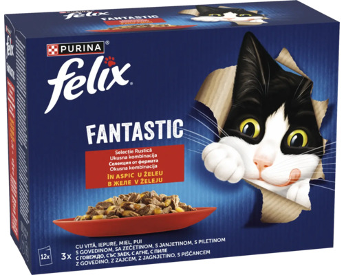 Hrană umedă pentru pisici Felix Fantastic multipack, 12 plicuri cu bucățele de carne în aspic, selecție cu vită, iepure, miel și pui. Hrană umedă pentru pisici Felix Fantastic multipack, 12 plicuri cu bucățele de carne în aspic, selecție cu vită, iepure, miel și pui.