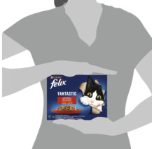 Hrană umedă pentru pisici Felix Fantastic în pachet de doisprezece, conținând doisprezece plicuri cu diverse sortimente de carne