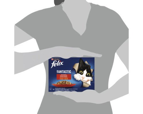 Hrană umedă pentru pisici Felix Fantastic în pachet de doisprezece, conținând doisprezece plicuri cu diverse sortimente de carne