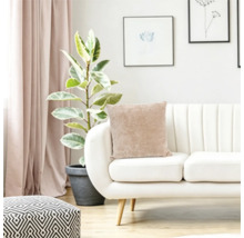 Living cu canapea moderna, perna bej, planta de interior si taburet geometric intr-un interior luminos si primitor.