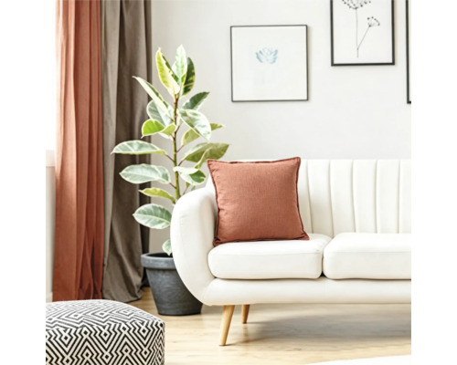 Un living luminos cu o canapea albă, o pernă decorativă ruginiu, o plantă de apartament într-un ghiveci și un taburet cu model geometric.