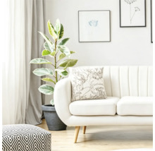 Un living luminos cu o canapea decorată cu o pernă cu model floral, o plantă de apartament și un taburet cu model geometric.