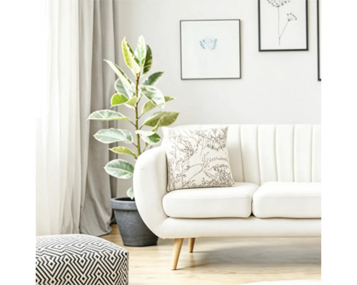 Un living luminos cu o canapea decorată cu o pernă cu model floral, o plantă de apartament și un taburet cu model geometric.