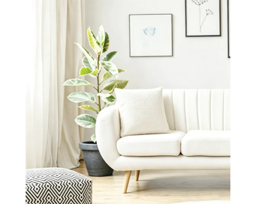 Living luminos cu canapea modernă, perne, taburet cu model și o plantă mare în ghiveci lângă fereastra cu draperii.