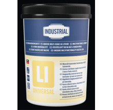 Recipient cu unsoare multifunctionala pe baza de litiu Industrial Universal pentru diverse aplicatii.