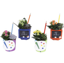 Patru ghivece decorative cu plante suculente și flori cu tematică școlară creioane și table sau palete de pictură