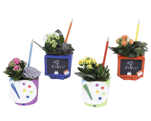 Patru ghivece decorative cu plante suculente și flori cu tematică școlară creioane și table sau palete de pictură