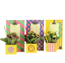 Trei plante Kalanchoe decorative în ghivece din lemn pătrate colorate cu motive smiley, plus agende cu clame, bilețele și creioane.