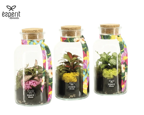 Trei sticle de sticlă cu plante artificiale, pietre decorative și dop de plută de la sigla Esperit Elements.