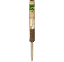 Tutore pentru plante din fibră de cocos FloraSelf cu băț de lemn, lungime 60 centimetri, pentru susținerea plantelor cățărătoare.