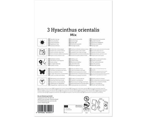 Verso ambalaj produs pentru Hyacinthus orientalis Mix cu simboluri pentru locație, utilizare, parfum, insecte și rezistență la îngheț.