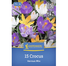 Bulbi de flori Kiepenkerl Crocus Vernus Mix, 15 bucăți, pentru o înflorire primăvăratică colorată în grădină.