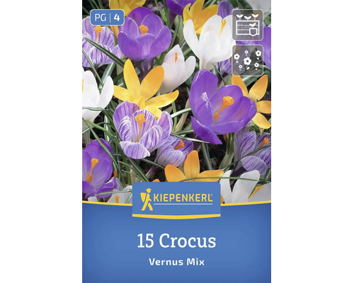 Bulbi de flori Kiepenkerl Crocus Vernus Mix, 15 bucăți, pentru o înflorire primăvăratică colorată în grădină.