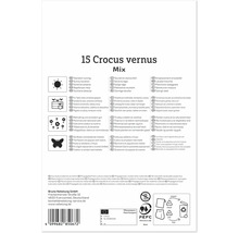Verso-ul ambalajului pentru 15 bulbi de flori Crocus vernus cu instrucțiuni de plantare, simboluri de amplasare, potrivire și marcaje ecologice.