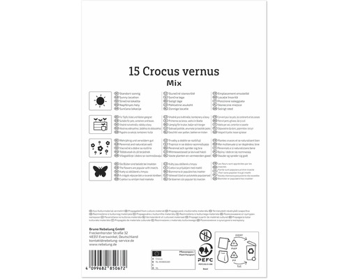 Verso-ul ambalajului pentru 15 bulbi de flori Crocus vernus cu instrucțiuni de plantare, simboluri de amplasare, potrivire și marcaje ecologice.