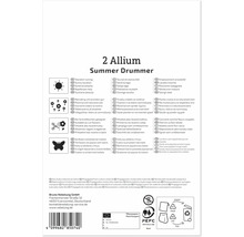 Spatele ambalajului bulbilor Allium Summer Drummer cu instrucțiuni de plantare, simboluri pentru locație și îngrijire și instrucțiuni de reciclare.