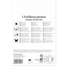 Ambalaj produs pentru bulbi Fritillaria persica Purple Favourite cu instructiuni de plantare si simboluri de reciclare.