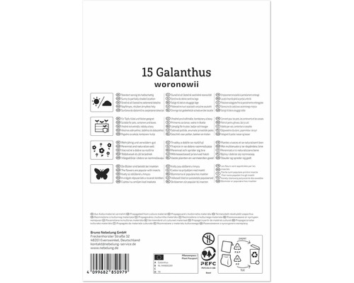 Spatele ambalajului pentru 15 bulbi de Galanthus woronowii cu instrucțiuni de plantare, simboluri și logo-ul Bruno Nebelung GmbH.