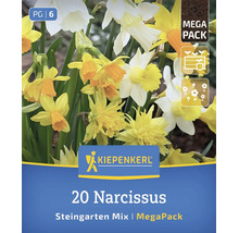 Pachet Kiepenkerl Mega Pack cu 20 de bulbi de narcise, amestec pentru grădini de stâncă, pentru plantare de primăvară.