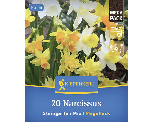 Pachet Kiepenkerl Mega Pack cu 20 de bulbi de narcise, amestec pentru grădini de stâncă, pentru plantare de primăvară.